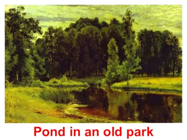 Pond in an old park Pond in an old park