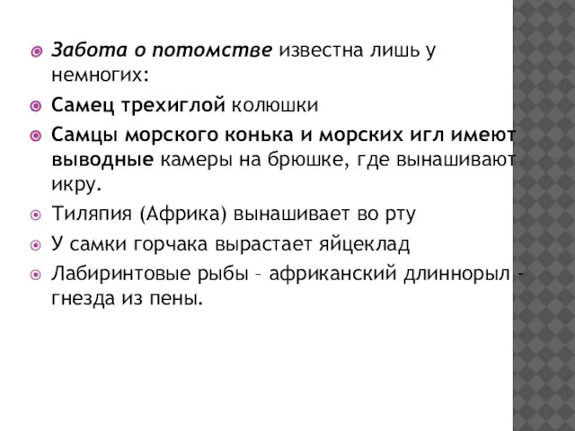 Забота о потомстве известна лишь у немногих: Cамец трехиглой колюшки Самцы морского