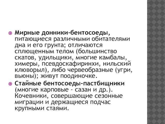 Мирные донники-бентосоеды, питающиеся различными обитателями дна и его грунта; отличаются сплющенным телом