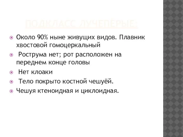 ПОДКЛАСС ЛУЧЕПЁРЫЕ: Около 90% ныне живущих видов. Плавник хвостовой гомоцеркальный Рострума нет;