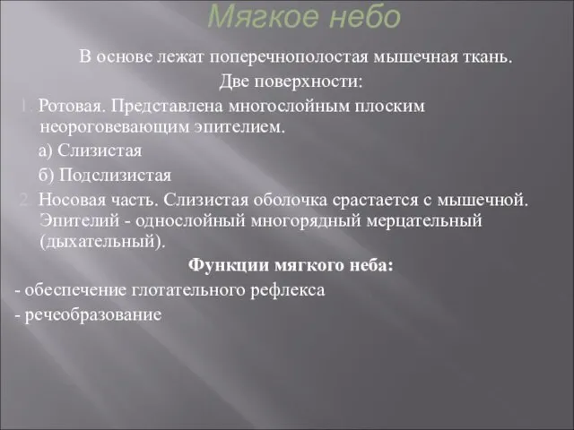 Мягкое небо В основе лежат поперечнополостая мышечная ткань. Две поверхности: 1. Ротовая.