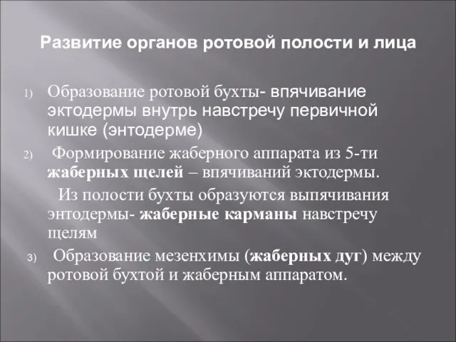 Развитие органов ротовой полости и лица Образование ротовой бухты- впячивание эктодермы внутрь