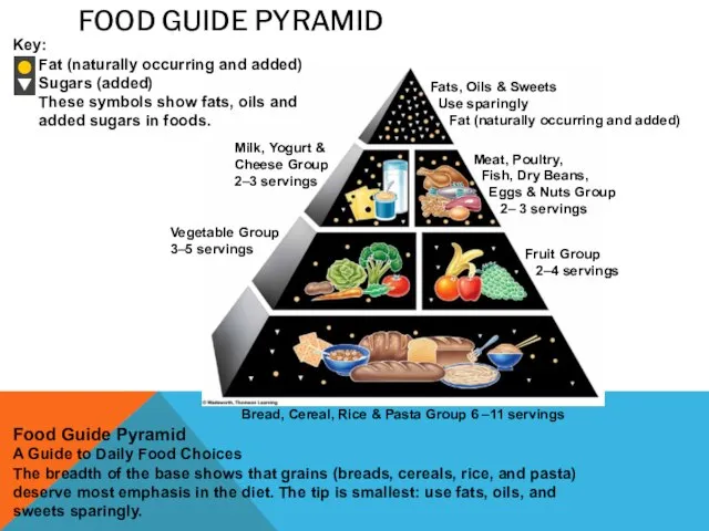 FOOD GUIDE PYRAMID Milk, Yogurt & Cheese Group 2–3 servings Food Guide