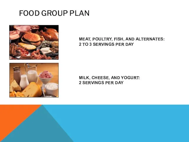 FOOD GROUP PLAN MEAT, POULTRY, FISH, AND ALTERNATES: 2 TO 3 SERVINGS