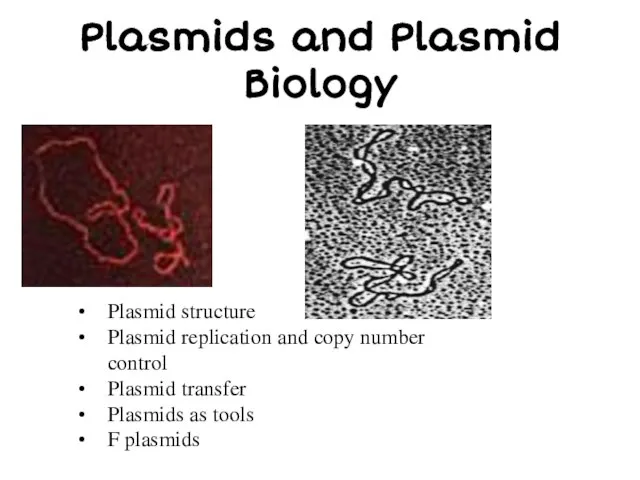 Plasmid structure Plasmid replication and copy number control Plasmid transfer Plasmids as
