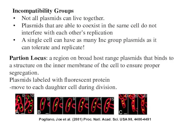 Incompatibility Groups Not all plasmids can live together. Plasmids that are able