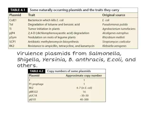 Virulence plasmids from Salmonella, Shigella, Yersinia, B. anthracis, E.coli, and others.