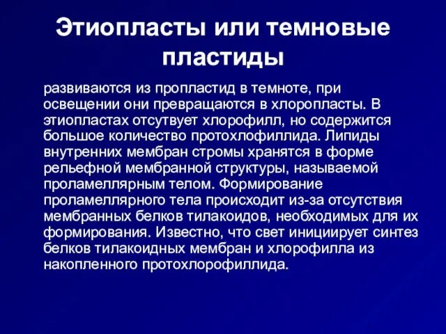 Этиопласты или темновые пластиды развиваются из пропластид в темноте, при освещении они