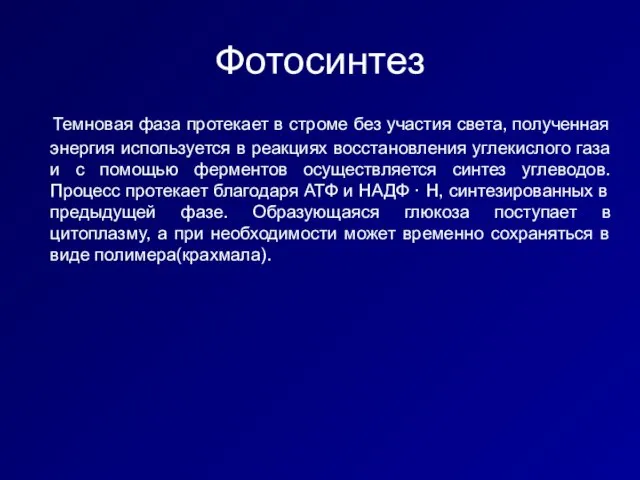 Фотосинтез Темновая фаза протекает в строме без участия света, полученная энергия используется