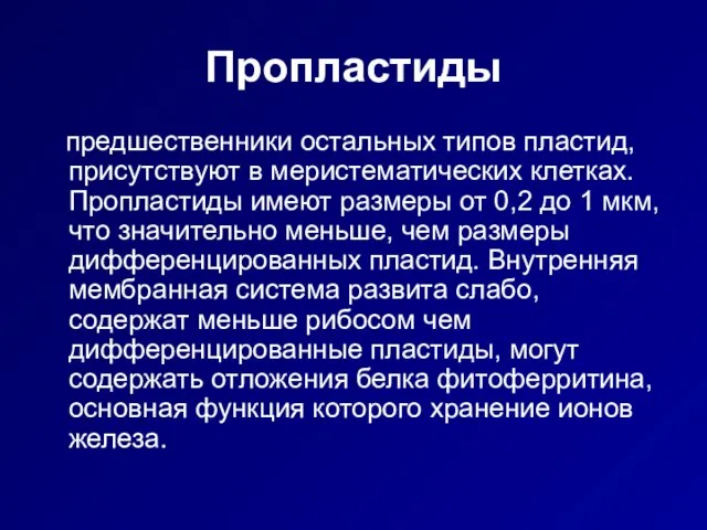 Пропластиды предшественники остальных типов пластид, присутствуют в меристематических клетках. Пропластиды имеют размеры