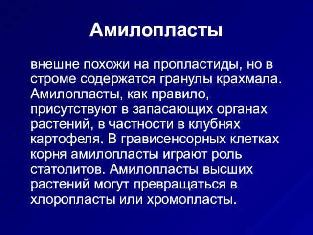 Амилопласты внешне похожи на пропластиды, но в строме содержатся гранулы крахмала. Амилопласты,