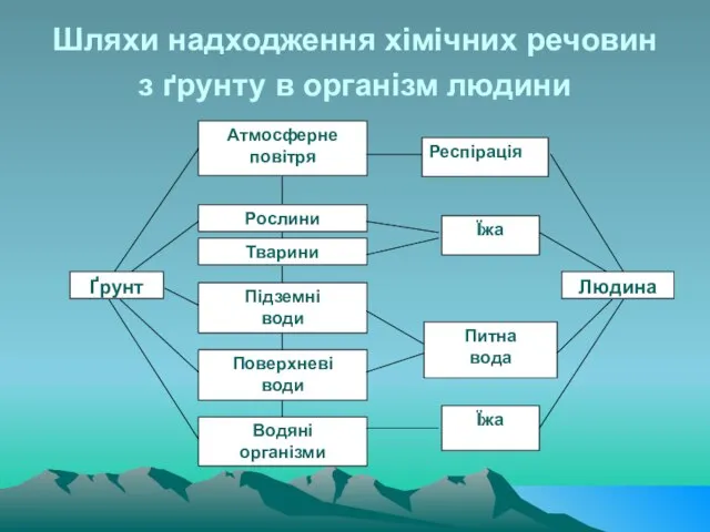 Шляхи надходження хімічних речовин з ґрунту в організм людини Ґрунт Атмосферне повітря