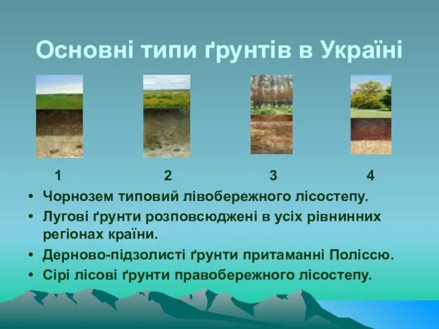 Основні типи ґрунтів в Україні 1 2 3 4 Чорнозем типовий лівобережного