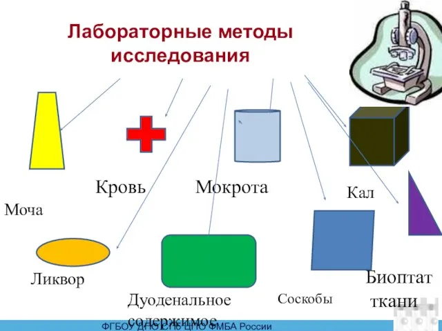 Лабораторные методы исследования Моча Кровь Мокрота Кал Ликвор Дуоденальное содержимое Соскобы Биоптат ткани