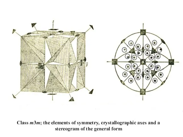 Class m3m; the elements of symmetry, crystallographic axes and a stereogram of the general form