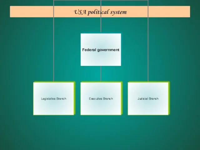 USA political system