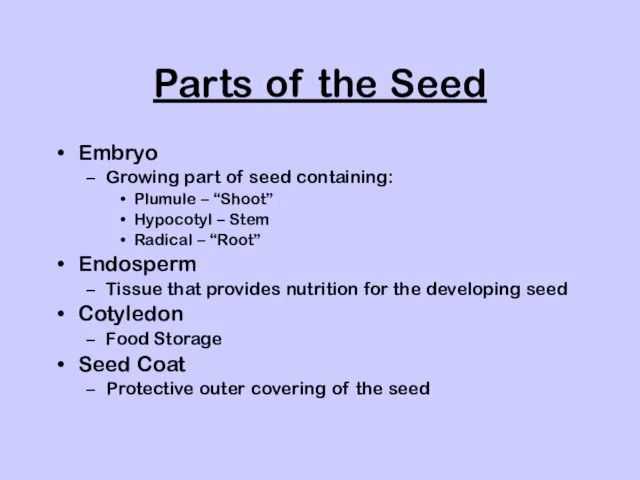 Parts of the Seed Embryo Growing part of seed containing: Plumule –