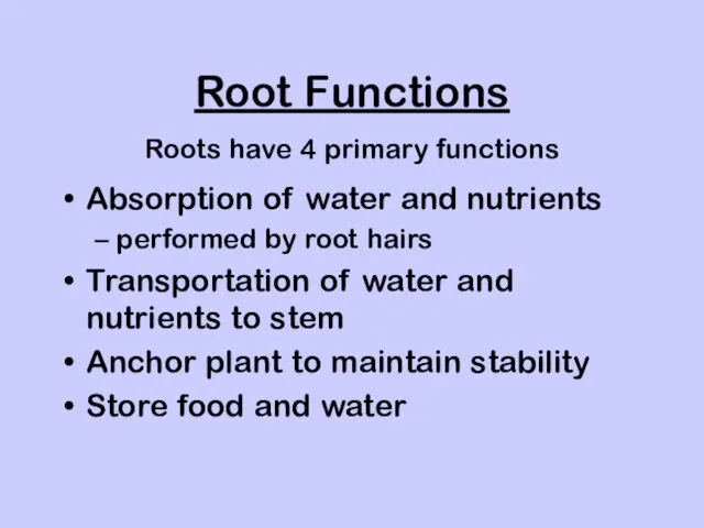 Root Functions Absorption of water and nutrients performed by root hairs Transportation