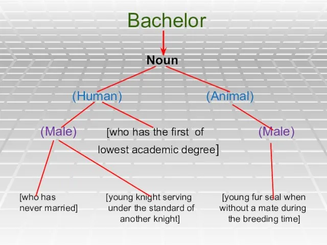 Bachelor Noun (Human) (Animal) (Male) [who has the first of (Male) lowest