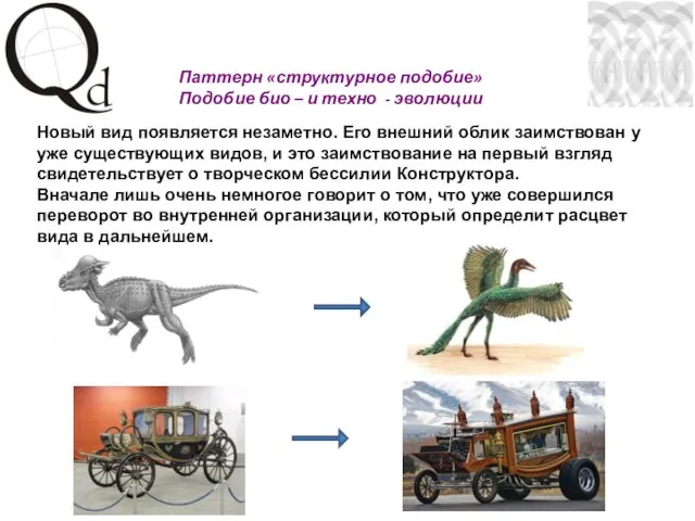 Новый вид появляется незаметно. Его внешний облик заимствован у уже существующих видов,