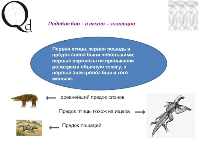 Подобие био – и техно - эволюции древнейший предок слонов Предок лошадей