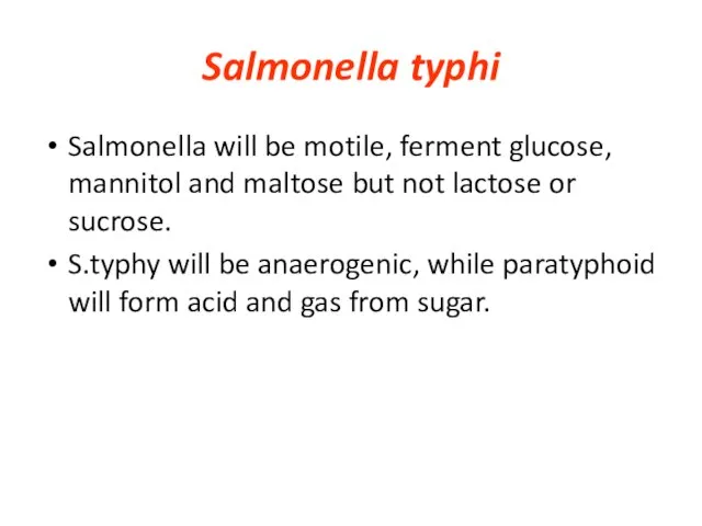 Salmonella typhi Salmonella will be motile, ferment glucose, mannitol and maltose but