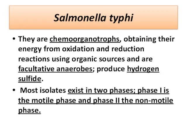 Salmonella typhi They are chemoorganotrophs, obtaining their energy from oxidation and reduction