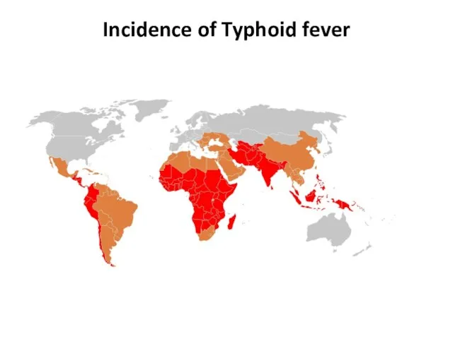 Incidence of Typhoid fever