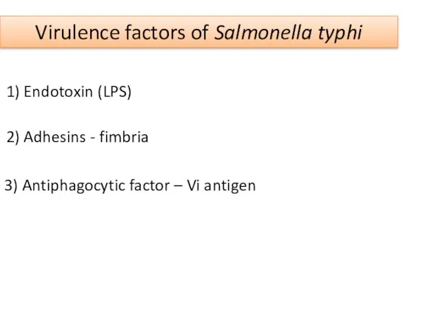 Virulence factors of Salmonella typhi 1) Endotoxin (LPS) 2) Adhesins - fimbria