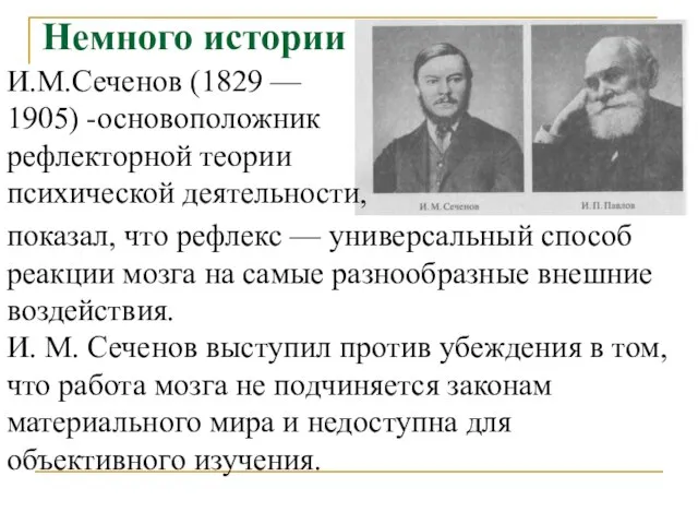 Немного истории показал, что рефлекс — универсальный способ реакции мозга на самые