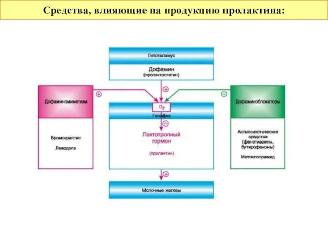 Средства, влияющие на продукцию пролактина: