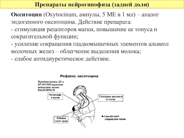 Препараты нейрогипофиза (задней доли) Окситоцин (Oxytocinum, ампулы, 5 МЕ в 1 мл)