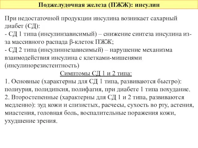 Поджелудочная железа (ПЖЖ): инсулин При недостаточной продукции инсулина возникает сахарный диабет (СД):