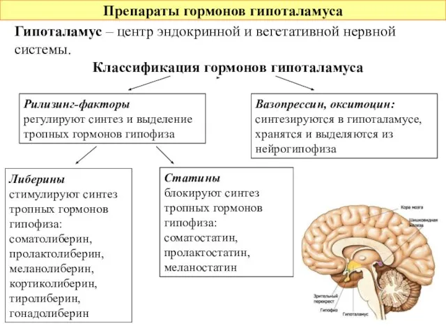 Препараты гормонов гипоталамуса Гипоталамус – центр эндокринной и вегетативной нервной системы. Классификация