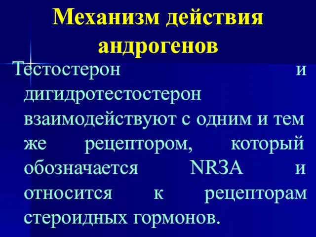 Механизм действия андрогенов Тестостерон и дигидротестостерон взаимодействуют с одним и тем же