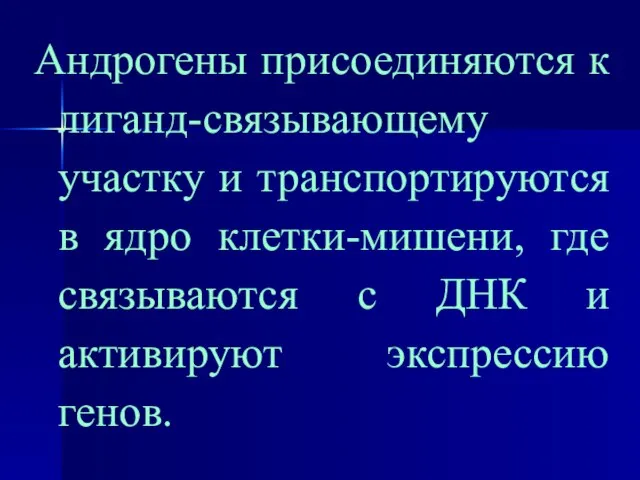 Андрогены присоединяются к лиганд-связывающему участку и транспортируются в ядро клетки-мишени, где связываются