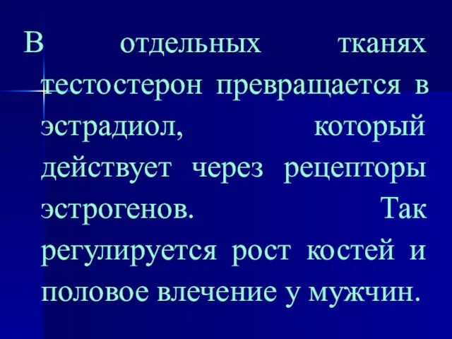 В отдельных тканях тестостерон превращается в эстрадиол, который действует через рецепторы эстрогенов.