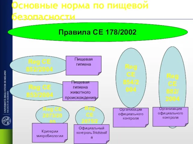 Основные норма по пищевой безопасности Правила CE 178/2002 Reg CE 852/2004 Reg