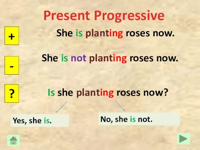 Present Progressive She is planting roses now. + - ? She is