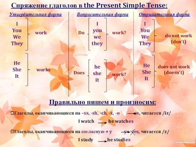 Спряжение глаголов в the Present Simple Tense: Утвердительная форма I You We