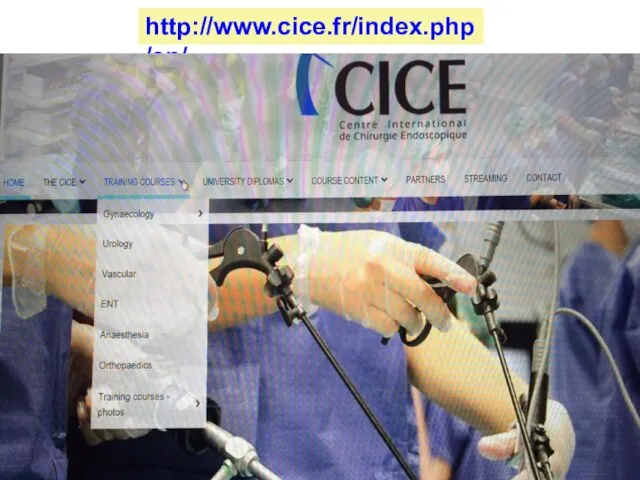 http://www.cice.fr/index.php/en/