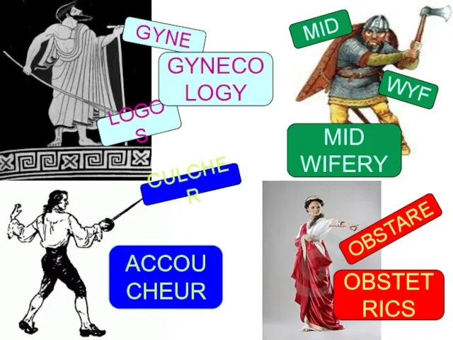 LOGOS GYNE GYNECO LOGY OBSTET RICS OBSTARE MID WYF MID WIFERY ACCOU CHEUR CULCHER