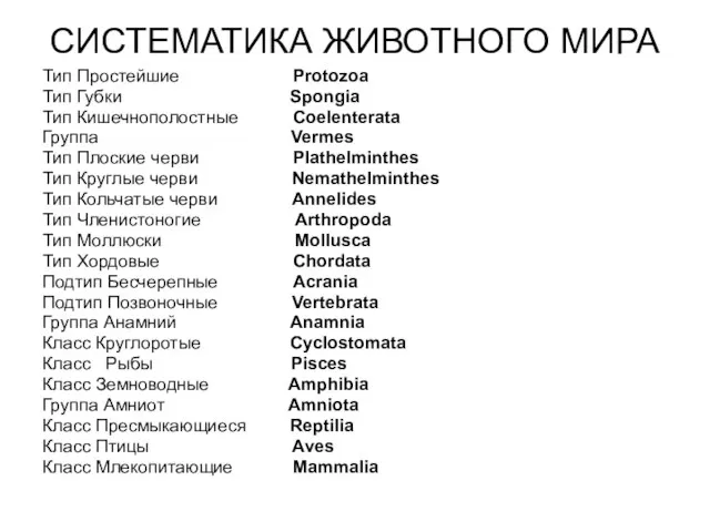 СИСТЕМАТИКА ЖИВОТНОГО МИРА Тип Простейшие Protozoa Тип Губки Spongia Тип Кишечнополостные Coelenterata