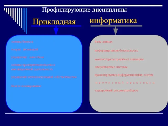 Прикладная информатика Профилирующие дисциплины