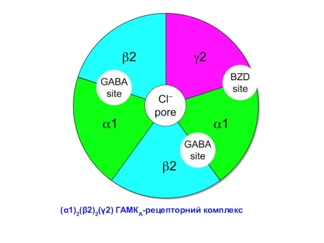 (α1)2(β2)2(γ2) ГАМКA-рецепторний комплекс