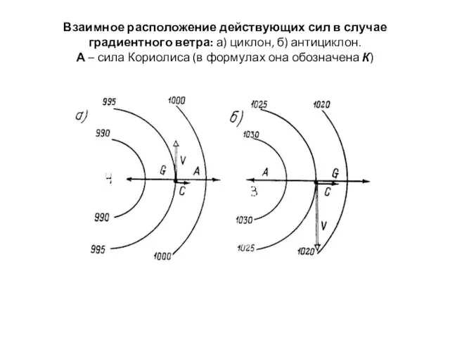 Взаимное расположение действующих сил в случае градиентного ветра: а) циклон, б) антициклон.