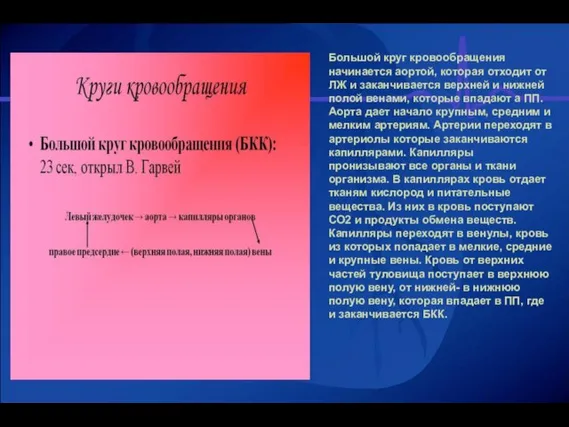 Большой круг кровообращения начинается аортой, которая отходит от ЛЖ и заканчивается верхней