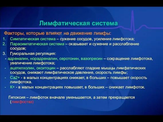 Лимфатическая система Факторы, которые влияют на движение лимфы: Симпатическая система – сужение