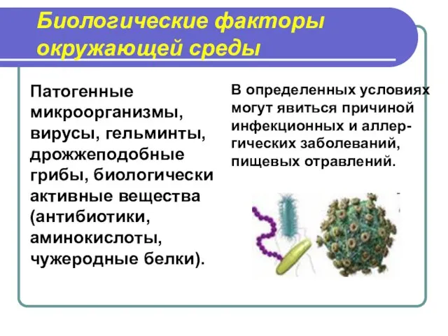 Биологические факторы окружающей среды Патогенные микроорганизмы, вирусы, гельминты, дрожжеподобные грибы, биологически активные