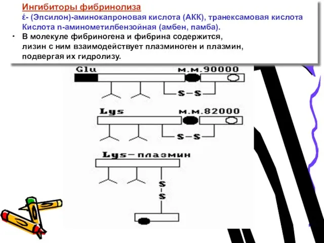 Ингибиторы фибринолиза έ- (Эпсилон)-аминокапроновая кислота (АКК), транексамовая кислота Кислота n-аминометилбензойная (амбен, памба).